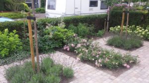Tuinonderhoud Stekene