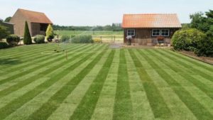 Tuinonderhoud Belsele