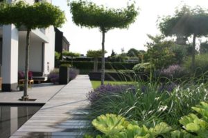 Tuinonderhoud Dendermonde