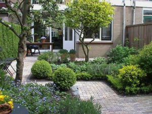 Tuinonderhoud Sint-Niklaas